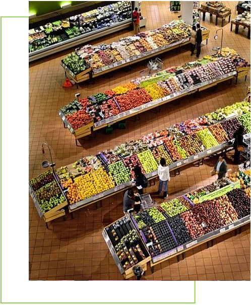 encart vert shop